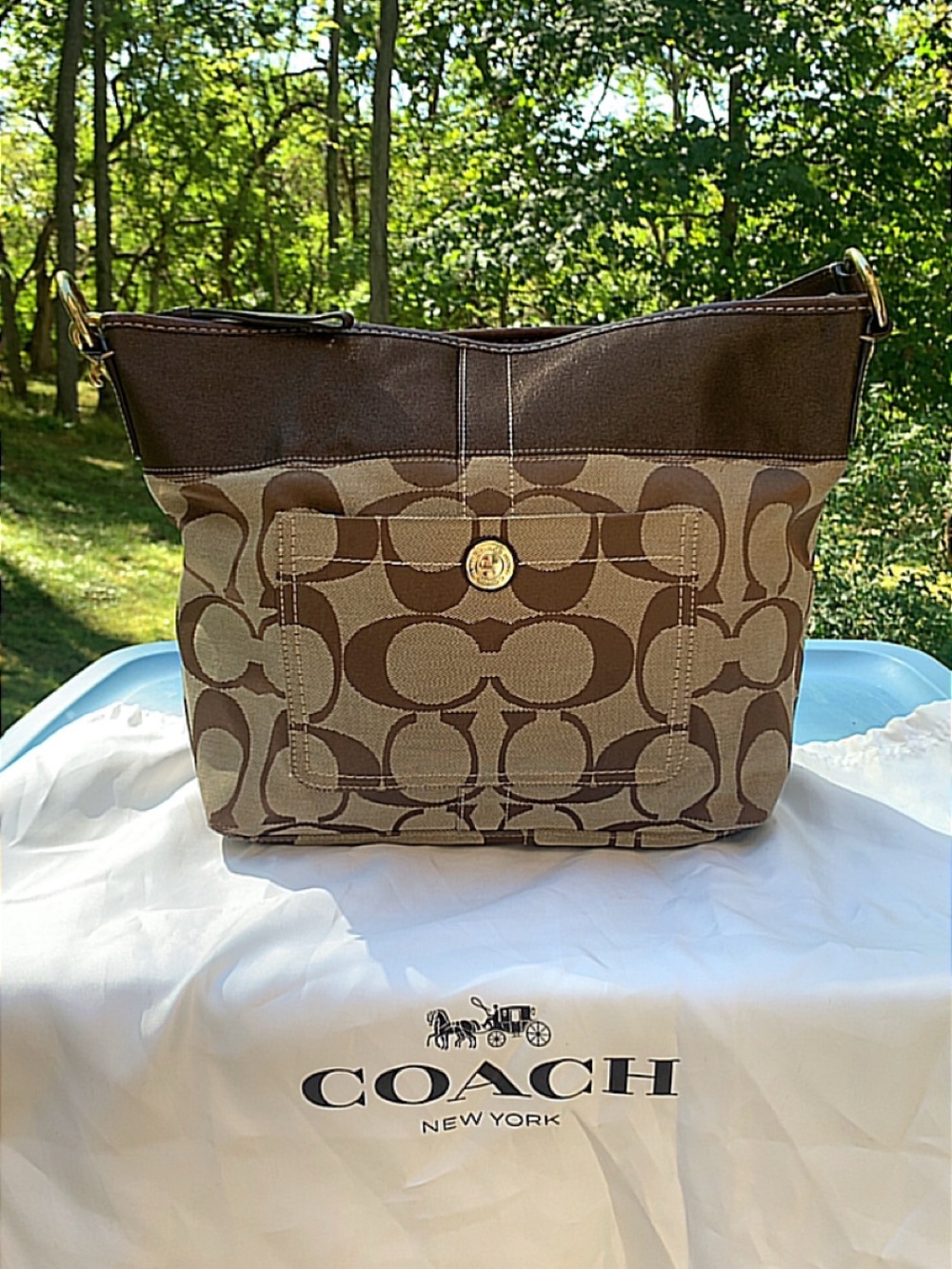 Coach Signature Canvas Shoulder Bag With Satin Dust Bag
